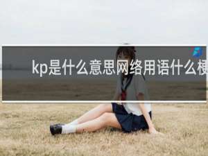 kp是什么意思网络用语什么梗