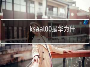 ksaal00是华为什么型号手机