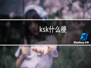 ksk什么梗