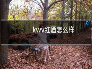 kwv红酒怎么样