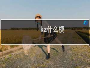 kz什么梗
