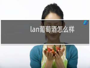 lan葡萄酒怎么样