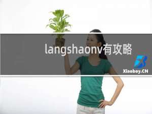 langshaonv有攻略