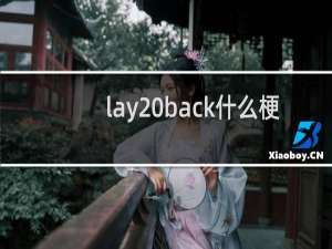 lay back什么梗