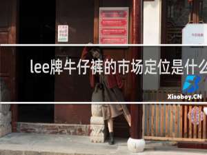 lee牌牛仔裤的市场定位是什么