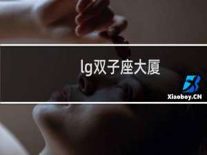 lg双子座大厦