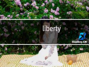 liberty-gifts.com域名需要转出