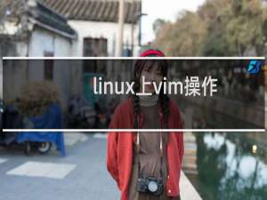 linux上vim操作