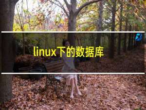 linux下的数据库