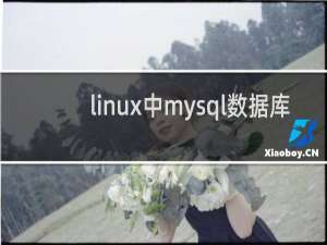 linux中mysql数据库