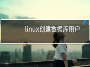 linux创建数据库用户