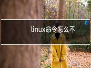 linux命令怎么不起作用？
