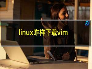 linux咋样下载vim