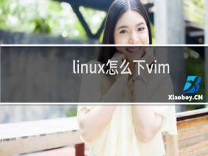 linux怎么下vim