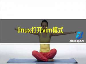 linux打开vim模式