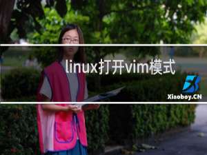 linux打开vim模式