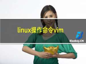 linux操作命令vim