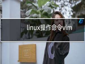 linux操作命令vim