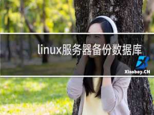 linux服务器备份数据库