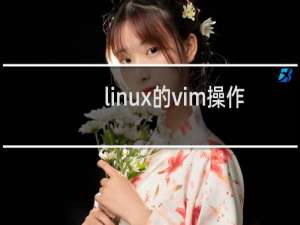 linux的vim操作