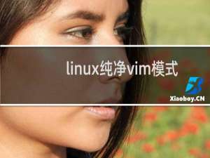 linux纯净vim模式