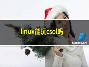 linux能玩csol吗