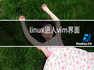 linux进入vim界面