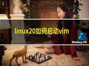 linux 如何启动vim