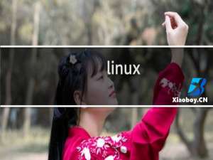 linux shell 攻略