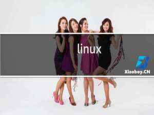 linux vim什么意思