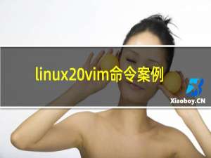 linux vim命令案例