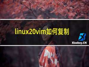 linux vim如何复制