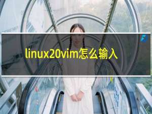 linux vim怎么输入