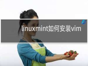 linuxmint如何安装vim