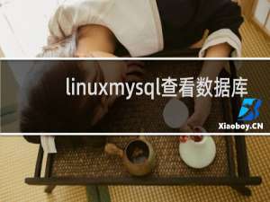 linuxmysql查看数据库