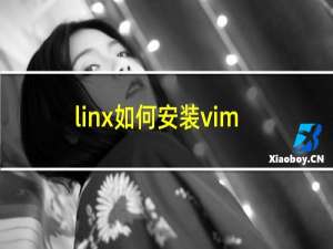 linx如何安装vim