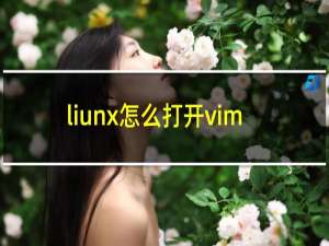 liunx怎么打开vim