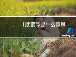ll面膜型是什么意思