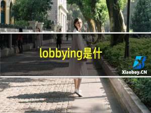 lobbying是什么意思中文（lobbying是什么意思）