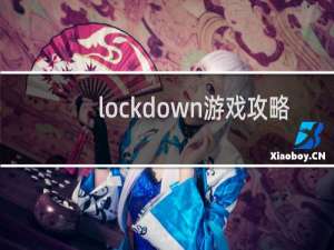 lockdown游戏攻略