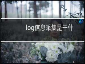 log信息采集是干什么的（log信息采集什么意思）