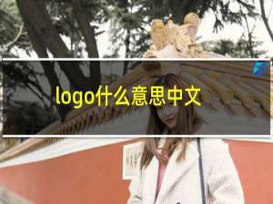 logo什么意思中文