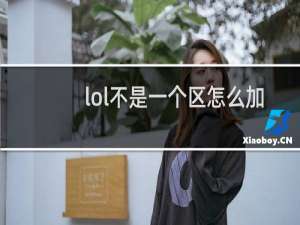 lol不是一个区怎么加好友