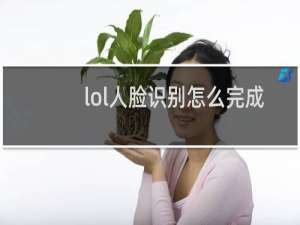 lol人脸识别怎么完成