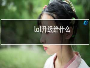 lol升级给什么