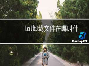 lol卸载文件在哪叫什么