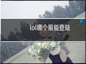lol哪个服能登陆
