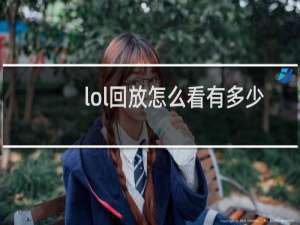 lol回放怎么看有多少钱