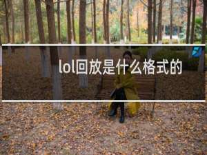 lol回放是什么格式的