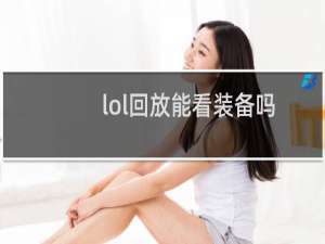 lol回放能看装备吗